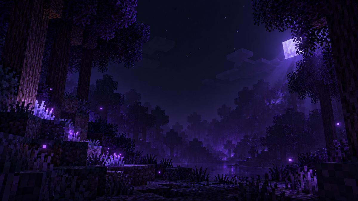 Minecraft forest at night